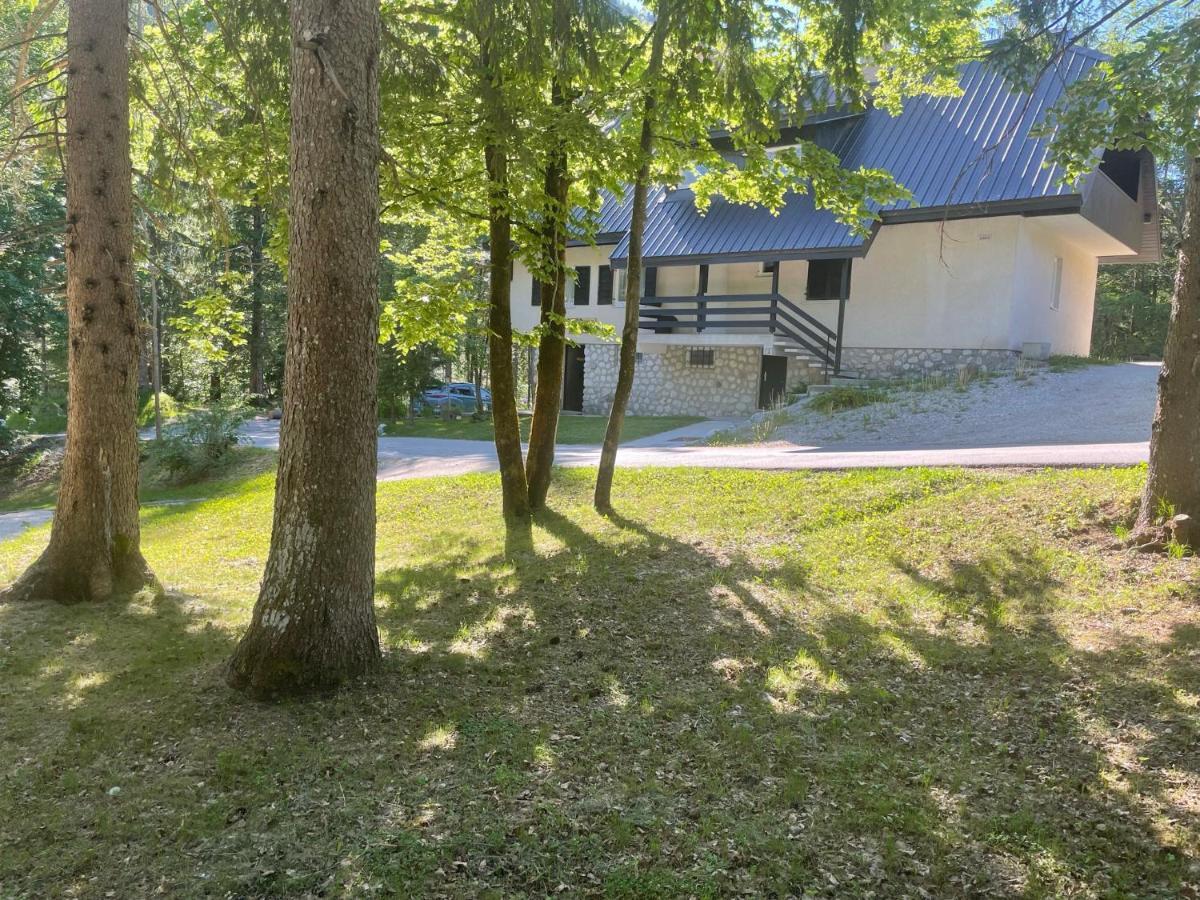 Martinov Dom Apartment Kranjska Gora Exterior foto